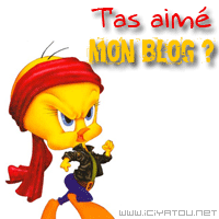 aime tu mon blog